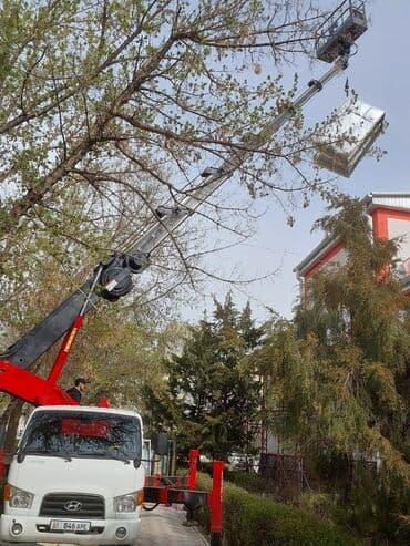 электронная очередь в посольство кореи: Автовышки 34м25м,27м,28м30м, опытные водители операторы — 5