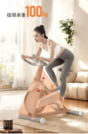 домашний велосипед тренажер: Велотренажёр спин байк D100 Бренд: Lijujia (Лицзюцзя) Тип — 3