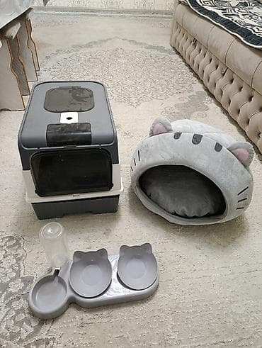 коты: Набор для котят — 1