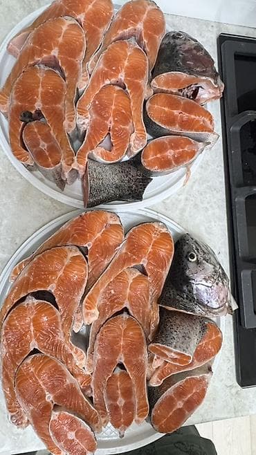 утиная грудка бишкек: СВЕЖАЯ ФОРЕЛЬ ЦЕНА 500 сом 
Отправка в регионы — 2