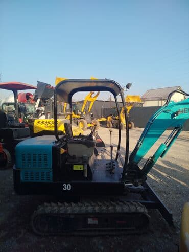 полировычный машынка: Экскаватор, 2024 г., Гусеничный — 2