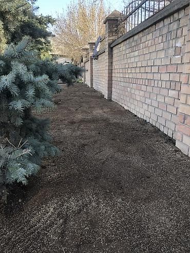 трава кос: Услуги по озеленению и подготовке газона - Профессиональная — 1