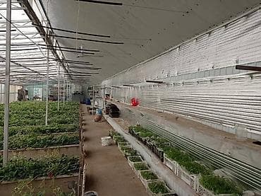 Коммерциялык мүлк: Жабдуусу менен, Иштеп жаткан, 240 м² — 3