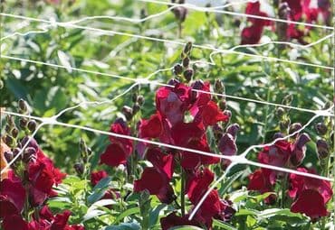 фитолампы для растений: Сетка для выращивания цветов на срезку. Ячейка 10*10 см Белая Высота 1 — 3