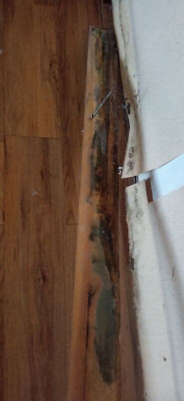 Градусниктер, тепловизорлор: Тепловизор! Обнаружение утечек воды водопровода, тёплого пола, труб — 10