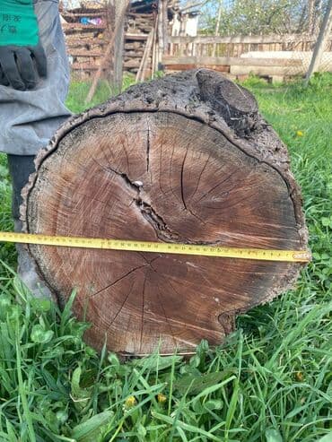 ХДФ: Комузга кургак орук бак сатылат — 1