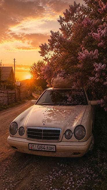 byd plus: Mercedes-Benz E-Class: 1998 г., 2.9 л, Механика, Дизель, Седан — 1
