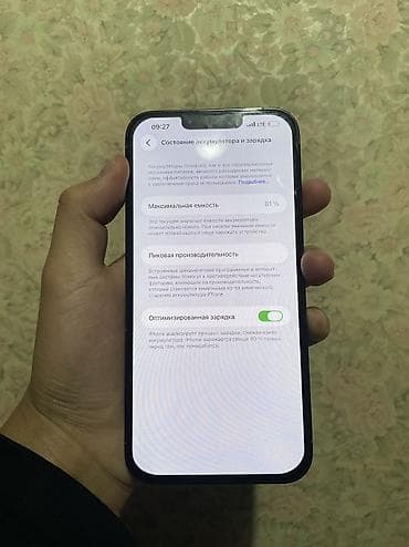 iphone dr: IPhone 13 Pro Max, Б/у, 256 ГБ, 81 % — 3