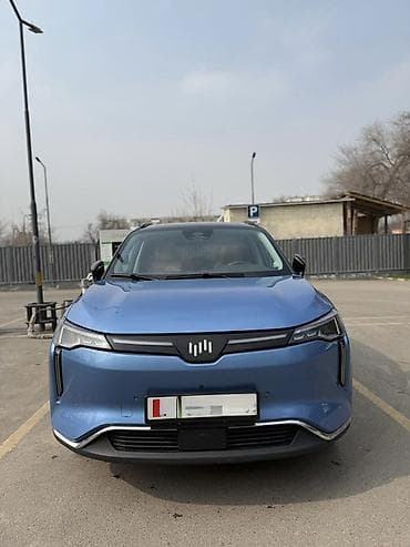 Weltmeister: Weltmeister W6, 2021 г., 100000 км, Передний, В наличии — 2