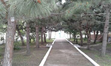 аренда дома на иссык куле: Үй, 500 кв. м, 14 бөлмө, Менчик ээси — 5