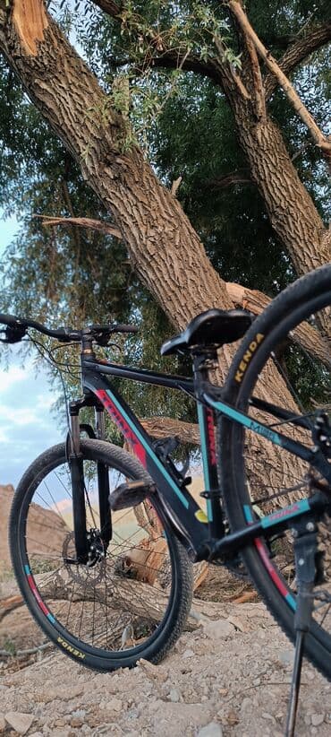 электромотоцикл для детей: Горный велосипед, Trinx, Рама L (172 - 185 см), Алюминий, Б/у — 1