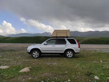 Кемирүүчүлөр: Продам контейнер для перевозки питомцев!!! Хотите поехать на отдых, а — 1