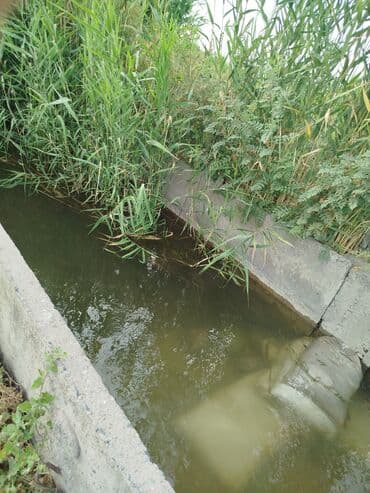 продаю дом бишкек сокулук: 500 соток, Айыл чарба үчүн, Кызыл китеп — 10