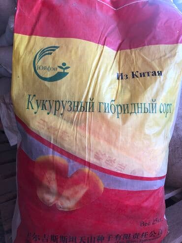 Дрова: Семена кукурузы !!Официальная продажа семян !!! Копмании Тянь Шань — 3