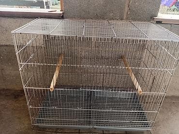 кекилик алам: Сетка для птиц попугай амадин 2500 70/60/36 — 7