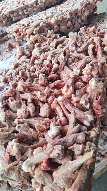 купить корм для форели в бишкеке: Сабачый корм — 1