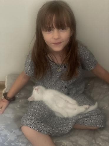 голубей птицы: Отдаются в добрые руки котята. Белые котята с пушистой шерсткой и — 1