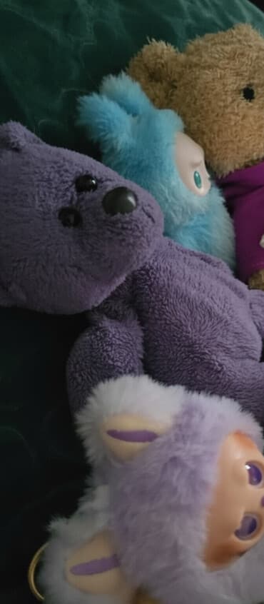 находки документов бишкеке: Потерялся сиреневый мишка рост 20см примерно вместо одного глаза — 3