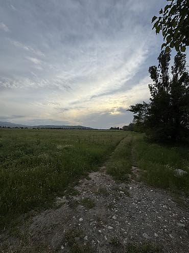 куплю участок пригородный: 282 соток, Для строительства, Договор купли-продажи, Красная книга — 7
