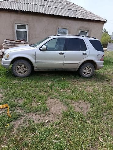 Mercedes-Benz ML-Class: 1999 г., 3.2 л, Автомат, Бензин, Кроссовер