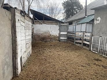 дом в горах бишкек: Дом, 28 м², 3 комнаты, Собственник, Старый ремонт — 10