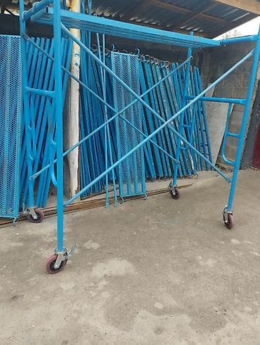 Бөлмө өсүмдүктөрү: ##Ижарага леса беребиз
##Аренду леса — 3