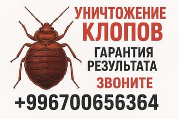 уничтожение клоп блох: Дезинфекция, дезинсекция, | Тараканы, Клопы, Блохи, | Подвал, погреб, Офисы, Квартиры — 1