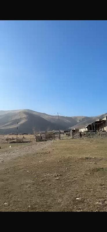 московский район участок: 200 соток, Для сельского хозяйства, Красная книга, Договор купли-продажи — 1