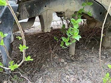 круизер 80: Toyota Land Cruiser: 1998 г., 4.2 л, Ручные, Дизель, Внедорожник — 10