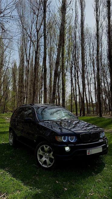 bwm x5: BMW X5: 2003 г., 3 л, Автомат, Дизель, Кроссовер — 4