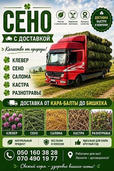 белый кролик: Тюк с доставкой с укладкой цена договорная Сено в тюках — 1