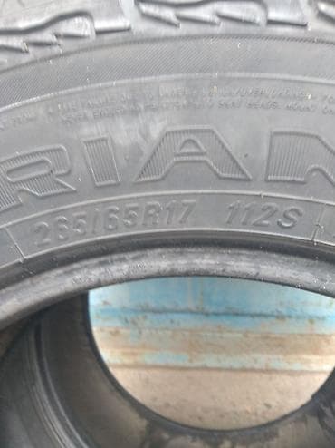 сл9 сл7: Шины 265 / 65 / R 17, Всесезонная, Пара, Внедорожные (АТ/МТ), Китай, TRIANGLE — 9
