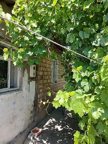 кизыл кия: Продаю полдома, 4ком. участок 4сот. район Сокулукский,с. Кожомкул,ул — 5