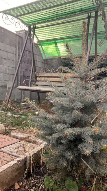 сдаётся комната гост типа чолпонатинская собственник: Хостел «Lodge» — ваш уютный уголок у склонов! Размещение: · Общие — 5