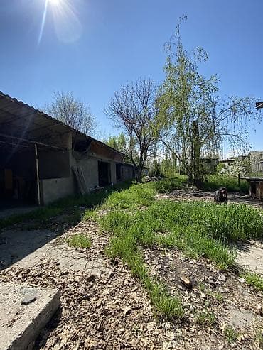 плодовый сад: 12 соток — 4