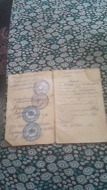 село кут: 4 соток, Для сельского хозяйства, Тех паспорт — 5