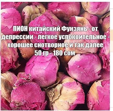 Чай, кофе, напитки: 🔥 Жасмин травы в чай --жасмин - иммуномодулятор натуральный — 2