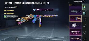 Другие игры и приставки: Игровой аккаунт PUBG Mobile Состав и особенности: - Ранг 100 уровня — 10