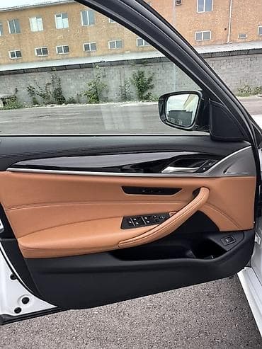BMW 5 series: 2019 г., 2 л, Автомат, Бензин, Седан — 9