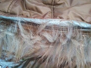 Бекерге берем: Обмен на продукты : зимние и деми куртки женские от 46-48 до 50-52р. — 25