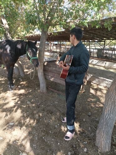 Велозапчасти: Акустическая гитара 6-струнная - Тип: dreadnought с вырезом (cutaway) — 4
