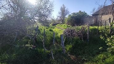 участки продаю: 15 соток, Для сельского хозяйства, Красная книга — 3