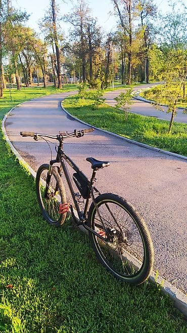 stels flame 200: Горный велосипед, Рама L (172 - 185 см), Алюминий, Б/у — 3