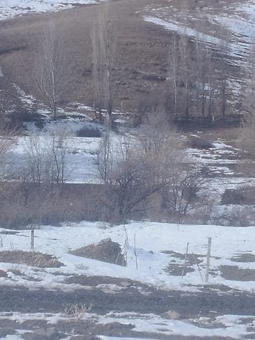 продаю дом бишкек кок жар: 150 соток, Айыл чарба үчүн, Кызыл китеп — 7