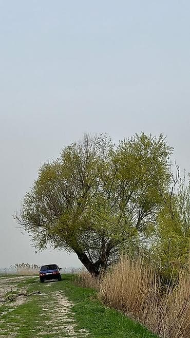 230000: ВАЗ (ЛАДА) 21099: 2004 г., 1.5 л, Механика, Бензин, Хэтчбэк — 2