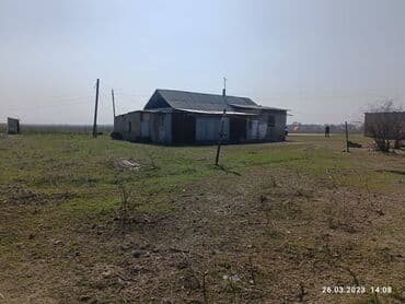 продаю дом участок село достук конечная 7 автобус: Продаю Птицеферма, 10000 соток, Электричество — 6
