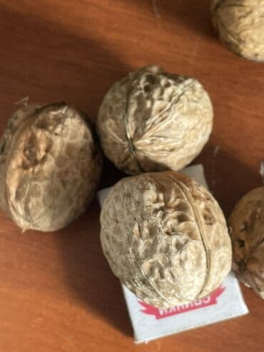 акча сактагыч: Грецкий орех в скорлупе (крупный размер) Тонкокорые - Натуральные — 3