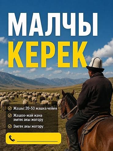 Малчы керек уй жайганга срочно чалгыла жумуш оной !!!семейный бой