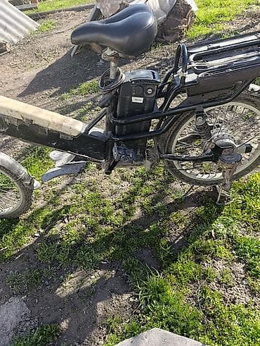 дикие диких: Электровелосипед — 2