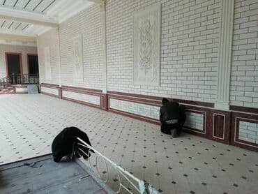 отделка фасада травертином: Фасадный декор | Жидкий травертин | Базальт Больше 6 лет опыта — 10